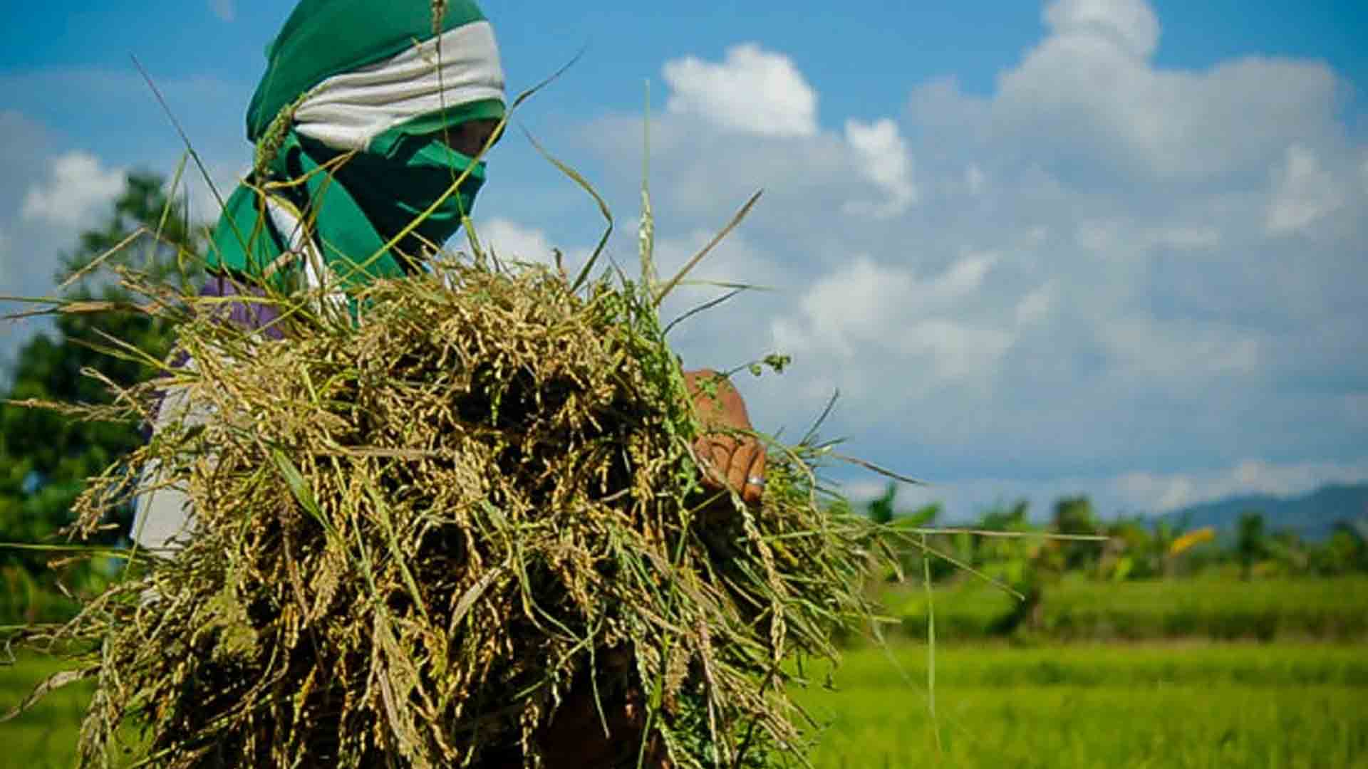 Isko Vows To Protect Farmers To Sustain Food Security 