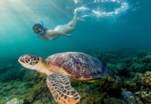 PH Gets Recognition As ‘Best Dive Destination’ At The 2023 Travel Weekly Asia