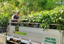 Ilocos Norte Town Fortifies Food Forest