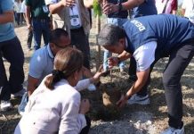 DENR Eyes 3M Trees Nationwide On Arbor Day, Backs Climate Resilience